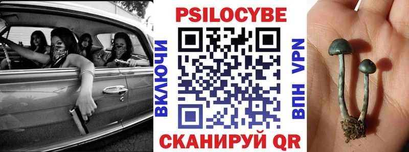 Галлюциногенные грибы мицелий  Сурск 